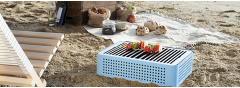 Barbecues, Planchas et Teppan Yaki