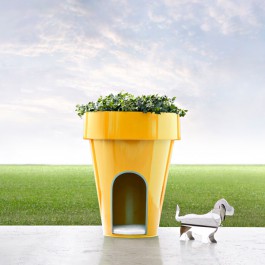 Pot Niche Dog-E Jaune DeCastelli JardinChic