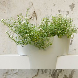 Sets de Vases pour Bibliothèque Yuu