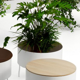 Ensemble pouf + table basse et jardninière ronde Green Pedestals Jardinchic