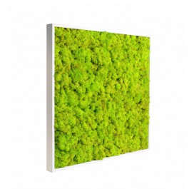 Tableau végétal Kandigreen 60 MeaMea JardinChic