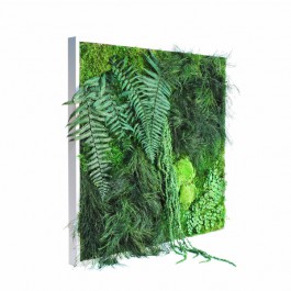 Tableau végétal Picagreen 60 MeaMea JardinChic