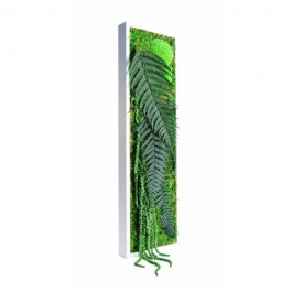 Tableau végétal Picagreen Slim MeaMea JardinChic