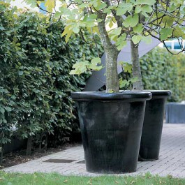 Pots London Noir Domani JardinChic