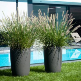 Pot Geisha Piscine Eternit JardinChic