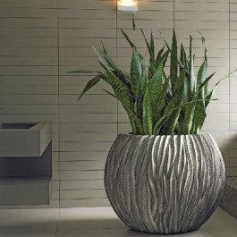 Jardinière d'Intérieur Snake Ambiance Plants First Choice JardinChic 