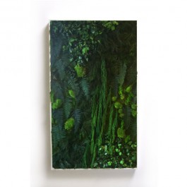 Tableau végétal Picagreen Vertical XXL Mea Mea JardinChic