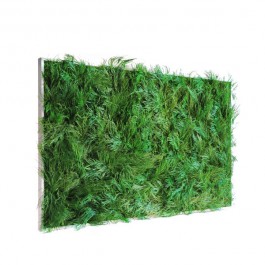 Tableau Végétal VanGreen Maxi Mea Mea JardinChic