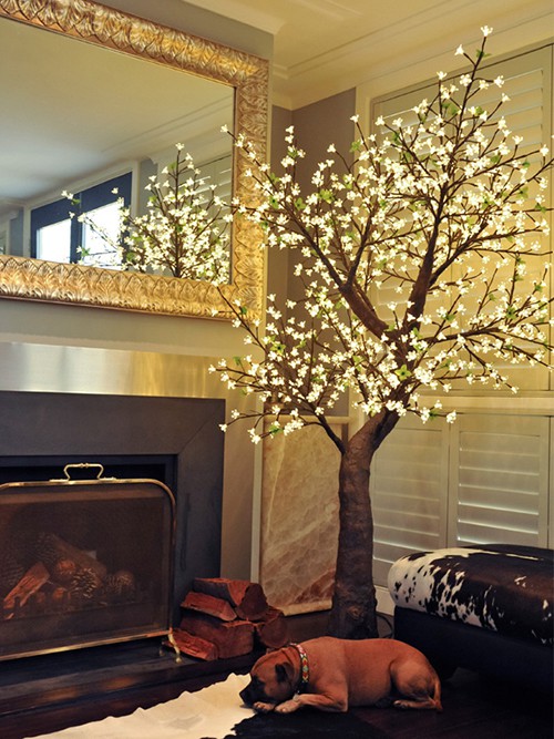 Arbre Pommier Lumineux - JardinChic