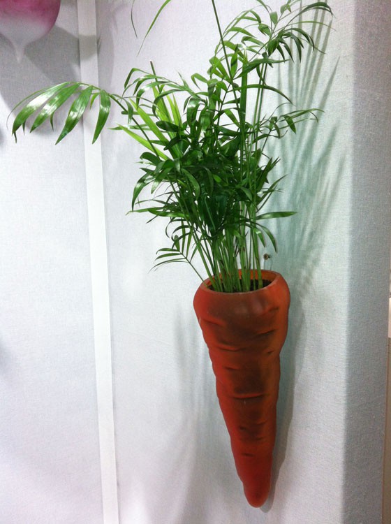 Carotte à Planter - JardinChic