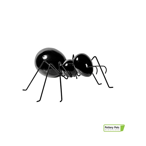 Fourmi Déco Ant Laying S Glossy Black Pottery Pots Jardinchic Fourmi Déco Ant Laying S Glossy Black Pottery Pots Jardinchic