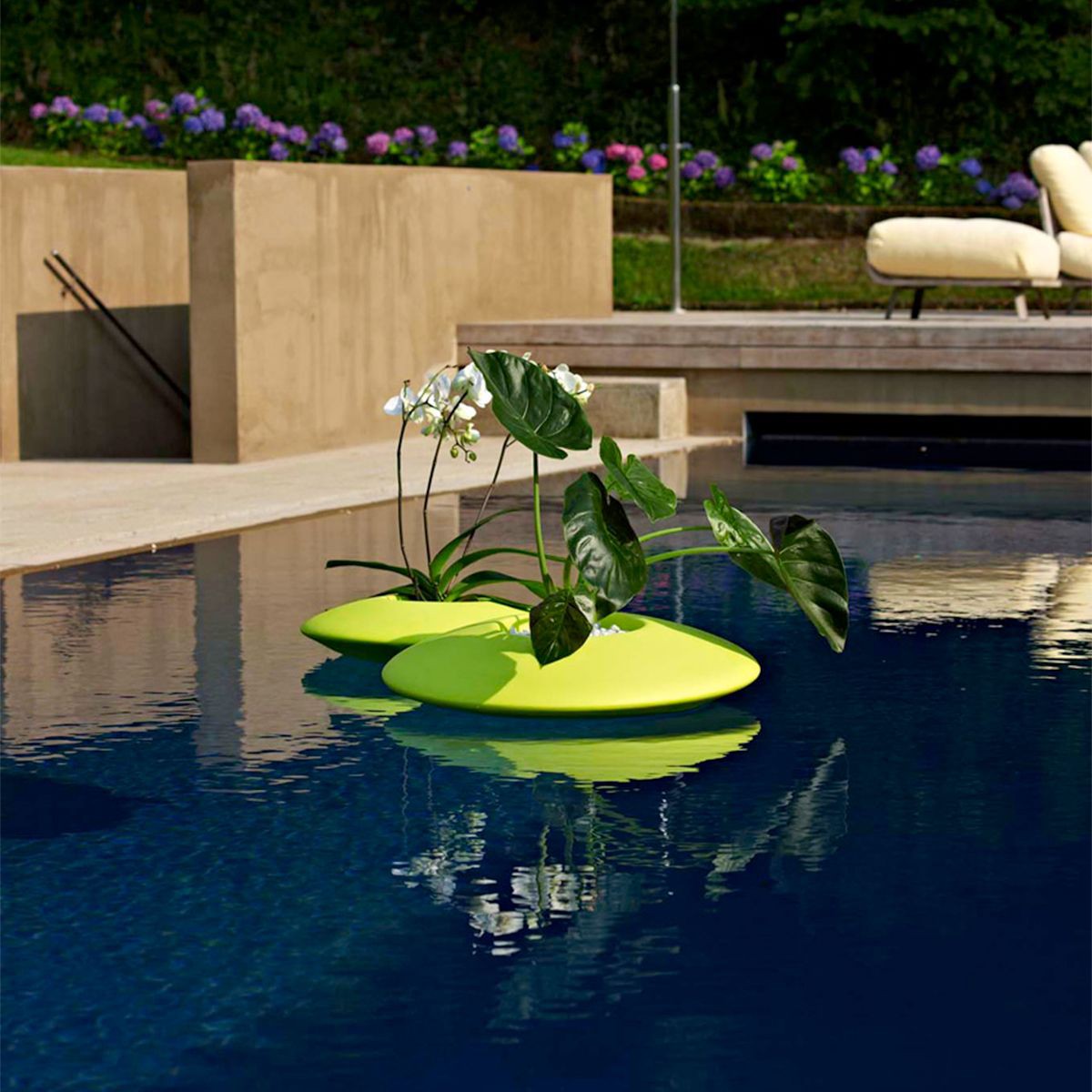 Ninfea 57 et 72 Vert Acide Plust Jardinchic Ninfea 57 et 72 Vert Acide Plust Jardinchic