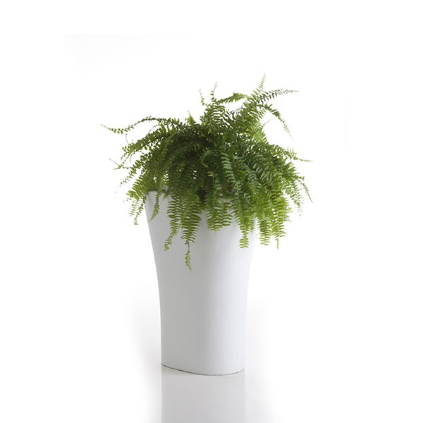 pot-70-bones-vondom-jardinchic pot-70-bones-vondom-jardinchic