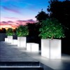 Jardinière Kube High Lumineuse L80cm