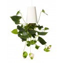 Jardinière Sky Planter Recycled