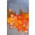 Tableau d'Exterieur - Automne