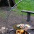 Barbecue Jardinchic