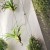 Rideau Végétal Airplant Teracrea JardinChic
