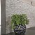 Jardinière d'Intérieur Ocean Plants First Choice JardinChic
