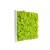 Tableau végétal Kandigreen 40 MeaMea JardinChic