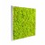 Tableau végétal Kandigreen 60 MeaMea JardinChic