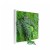 Tableau végétal Picagreen 40 MeaMea JardinChic