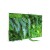 Tableau végétal Picagreen Maxi Horizontal MeaMea JardinChic