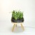 Lampe Planta Small Brokis Ambiance JardinChic