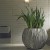 Jardinière d'Intérieur Snake Ambiance Plants First Choice JardinChic 