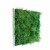 Tableau Végétal VanGreen 60 MeaMea JardinChic