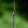 Fixation Barbecue Spear Jardinchic