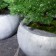 Pot Gruyère Zoom Domani JardinChic