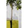 Pot Btyline Bacsac Ambiance JardinChic