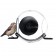 Mangeoire Bird Feeder Born in Sweden Jardinchic