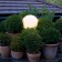 Boule lumineuse Qui est Paul? JardinChic