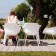 Chaises Captain's Chair Piétement Luge Blanc Extremis JardinChic