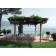 Lot de 2 Chaises Empilables BO Driade Terrasse JardinChic