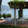 Lot de 2 Chaises Empilables BO Ambiance Driade JardinChic