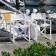 Fauteuil pliable La Regista Serralunga JardinChic