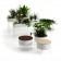 Collection Green Pedestals Offecct Jardinchic
