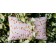 Coussin Outdoor Ava 44x30cm Rose Poudré Fermob Jardinchic