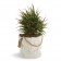 Range Buches/ Jardinière/ Rangement Crash Blanc Détouré AK47 Design JardinChic 