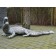 Statue Crocodile Gris Argent Laqué Métallisé TexArtes JardinChic