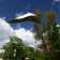 Enceinte Suspendue Dolphin Architettura Sonora Jardinchic