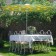 Parasol Dot Bleu Clair et Jaune Sywawa Jardinchic