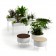 Ensemble Green Pedestals Jardinchic