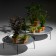 Ensemble Table Basse Green Trays Jardinchic