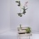 Flying Orchids 16cm Jardinchic