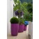 Pot Geisha Fushia Eternit JardinChic