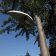 Enceinte Suspendue Helmet Architettura Sonora